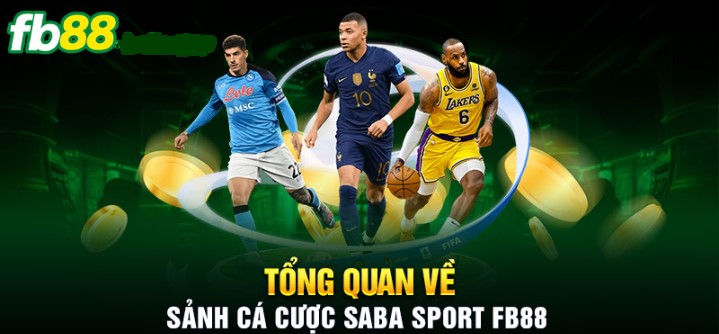 Nhiều ưu điểm đặc biệt được Saba sports mang đến cho anh em